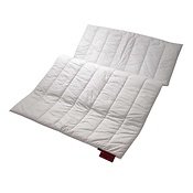 Produkte Fur Das Perfekte Allergiker Bett